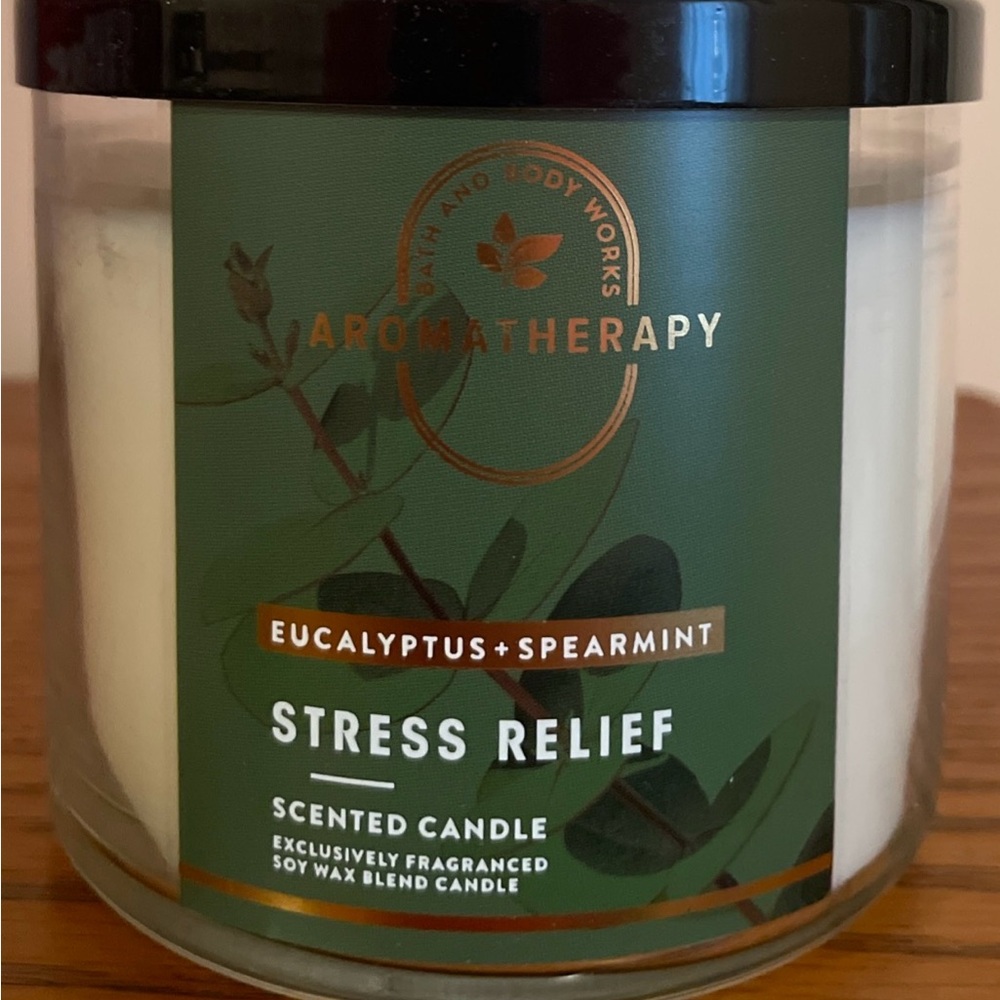 “Eucalyptus + Spearmint” Aromatherapy Stress Relief Candle   Bath and Body Works